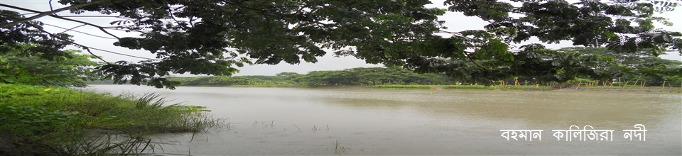 কালিজিরা নদী