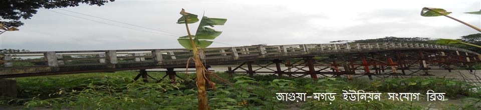 জাগুয়া-মগড় ইউনিয়ন সংযোগ ব্রিজ