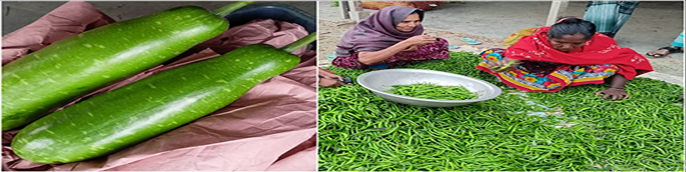 সবজি