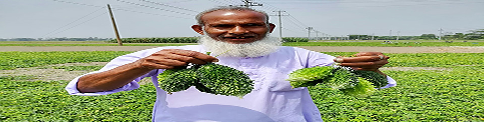 সবজি