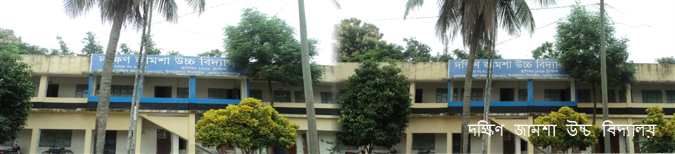 দক্ষিণ জামশা উচ্চ বিদ্যালয়