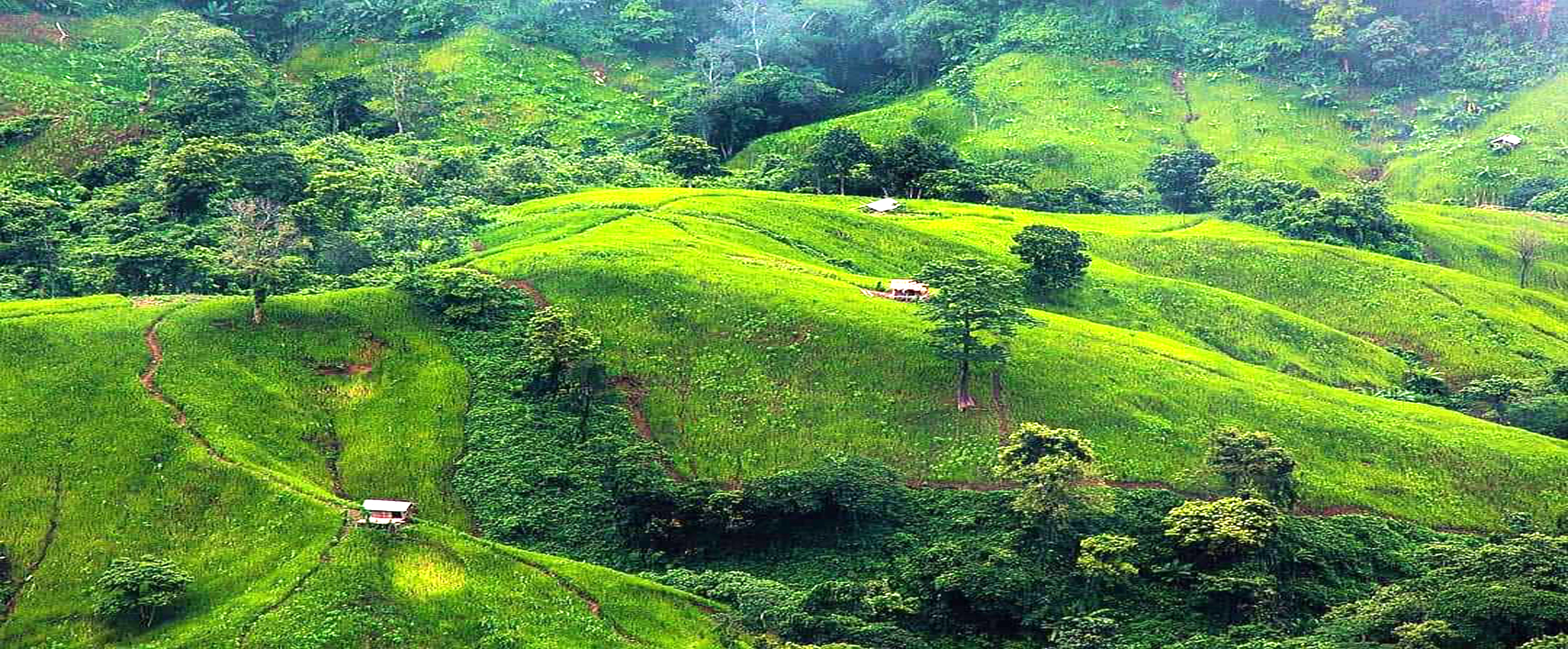 জুম