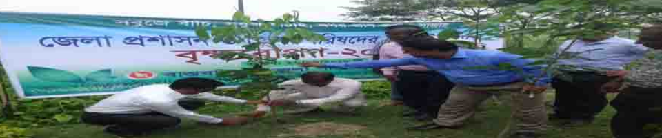 জেলা পরিষদ অর্থায়নে বরগুনা টু বরিশাল আচ্ঞলিক মহাসড়কের পাশে বৃক্ষ রোপন কর্মসূচী-২০১৮