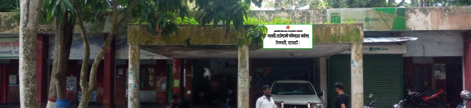 চিতলমারী