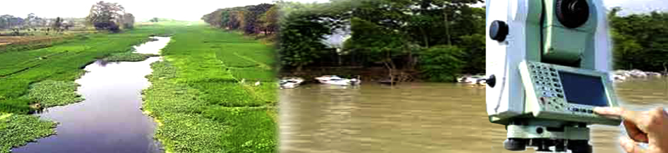 চিতলমারী