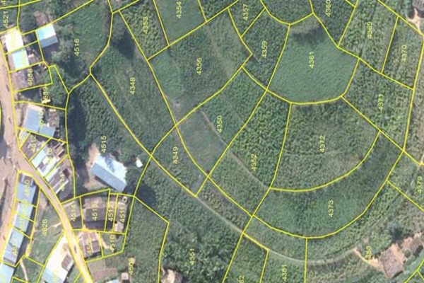 ফটোগ্যালারি