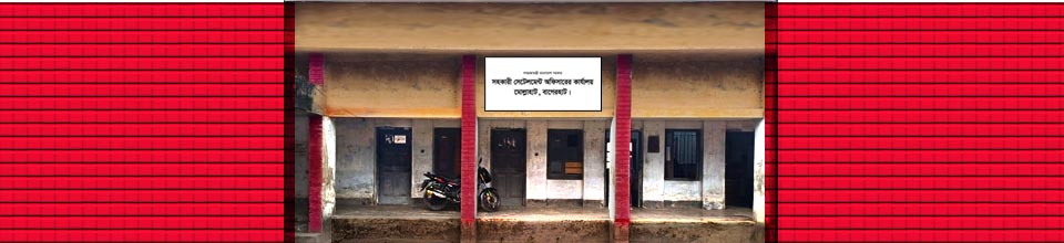 মোল্লাহাট